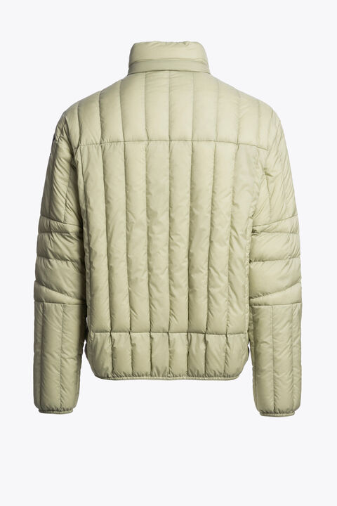 Parajumpers KUON - SHORT PUFFER ASPARAGUS 26SMPMPUIP01P240342
