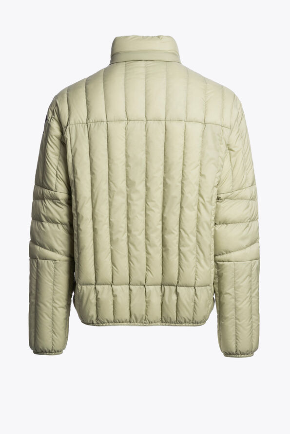 Parajumpers KUON - SHORT PUFFER ASPARAGUS 26SMPMPUIP01P240342