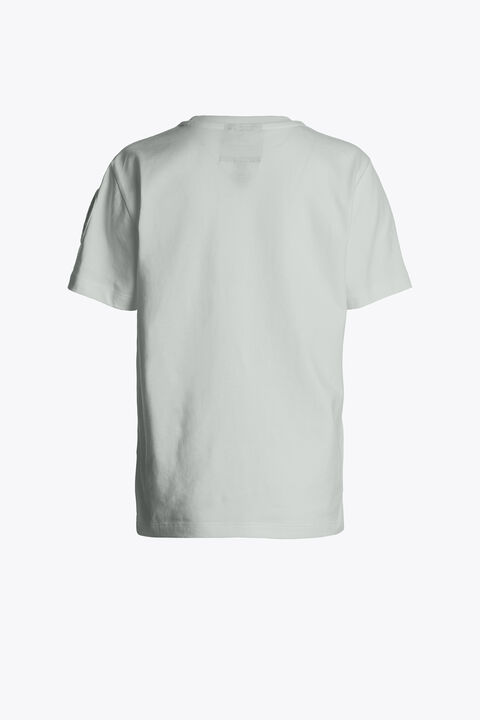 Parajumpers ISEO - T-SHIRT FRESH GREY 26SMPBTSIT65PBI0271