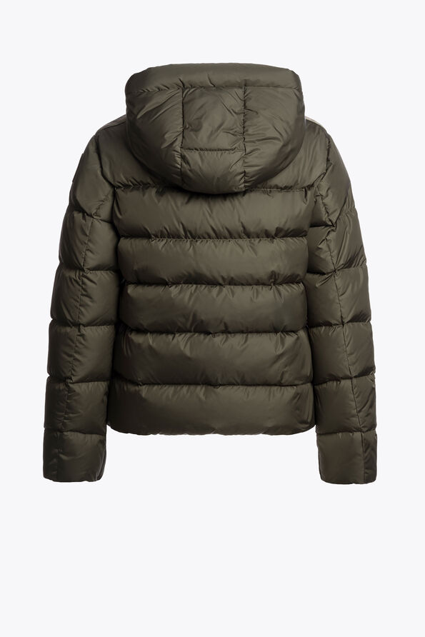 Parajumpers JINNY - KURZE DAUNENJACKE TAGGIA OLIVE 26WMPWPUTT32P590218