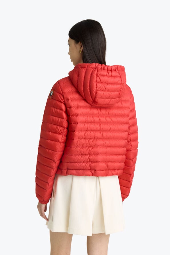 Parajumpers RORY - SHORT DOWN JACKET CHERRY RED 26SMPWPUSL31P530288