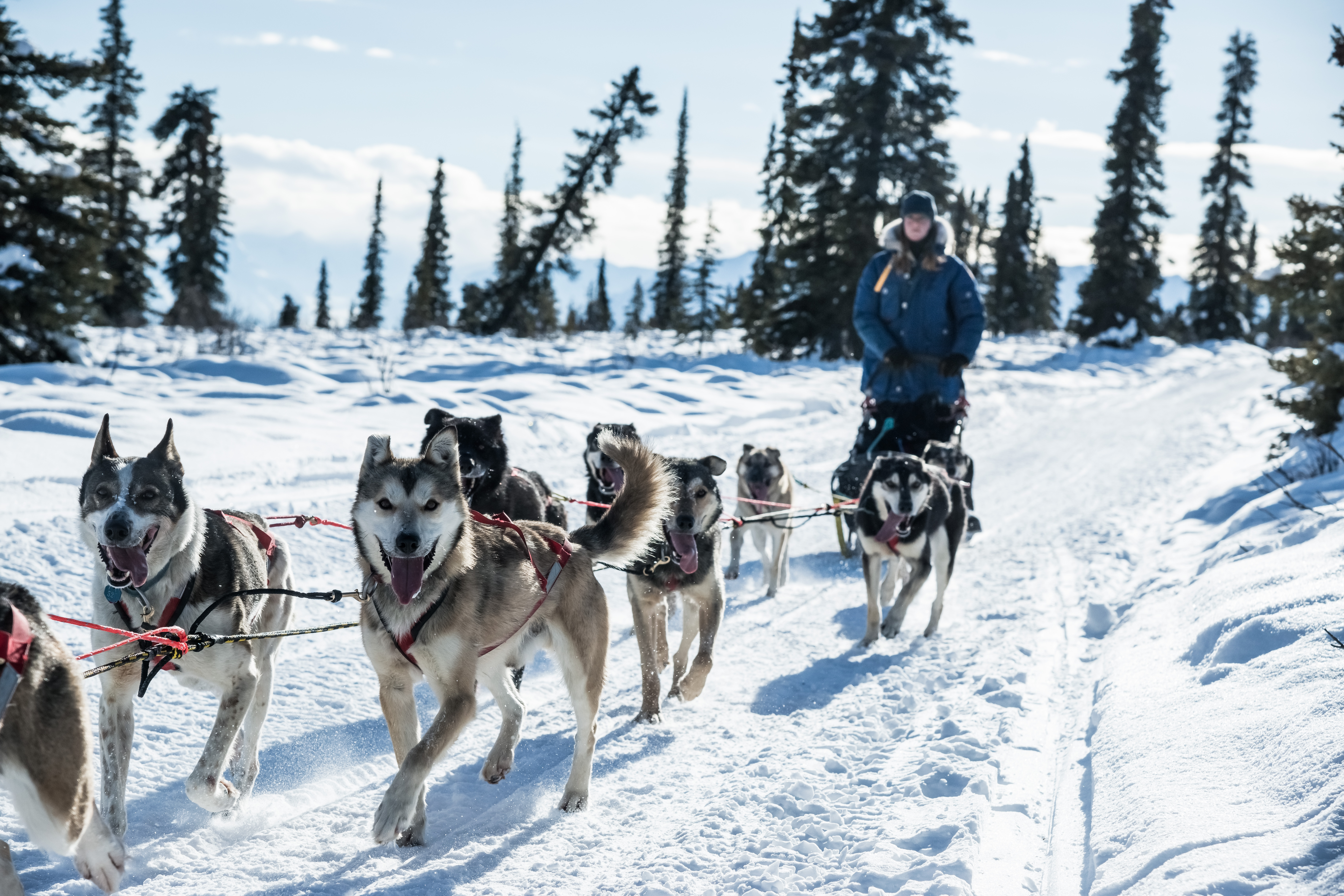 Mushers Twins  Parajumpers® Stories